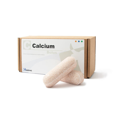 C Calcium