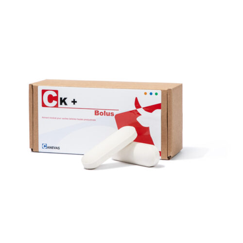 C K+ Bolus